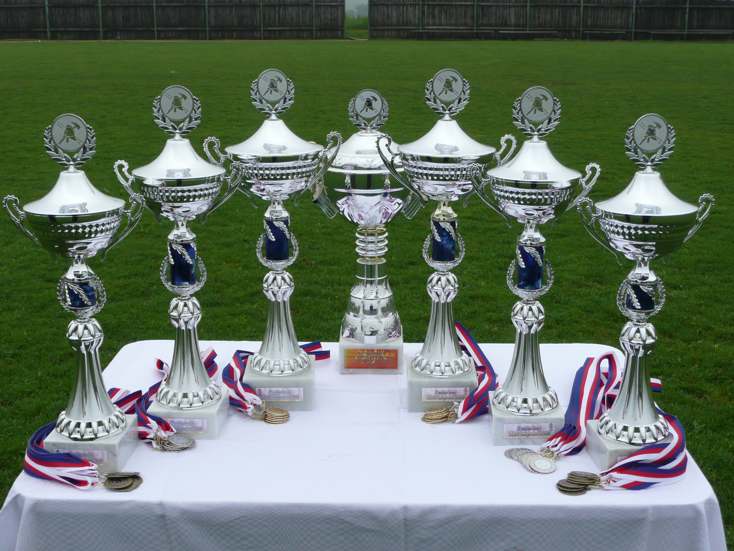 POHÁRY V SULEJOVICÍCH 2008